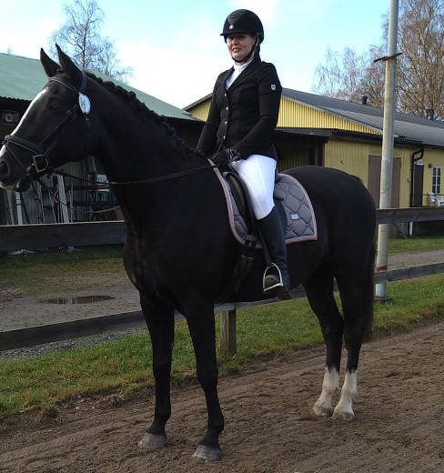 Reslig valack.