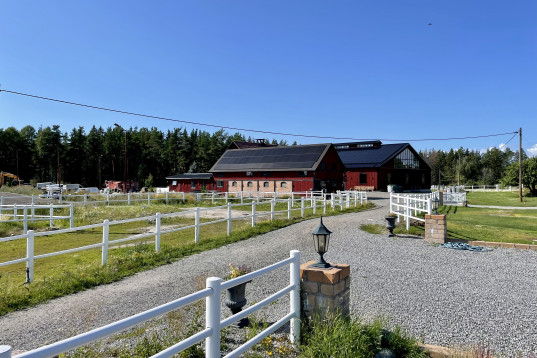 Lediga stallplatser på Drottningholm 