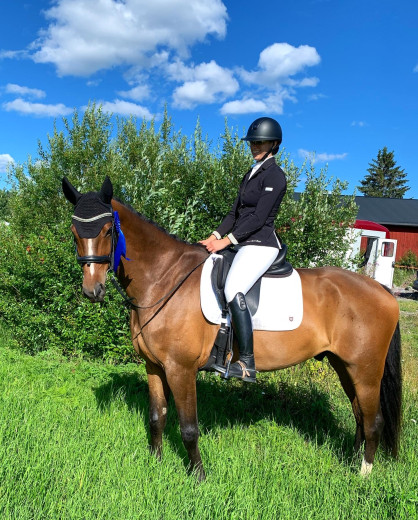 Fin dressyrstammad hobbyhäst till salu!