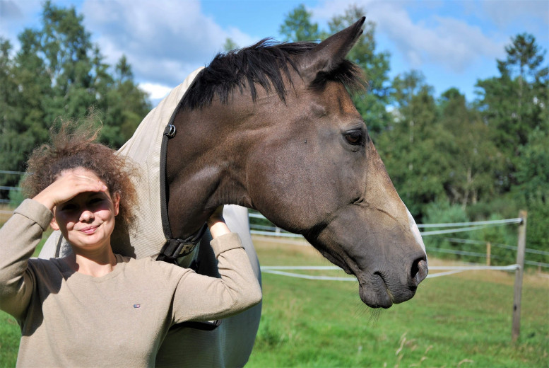 Söker häst att låna för utbilda/tävla ev senare köp