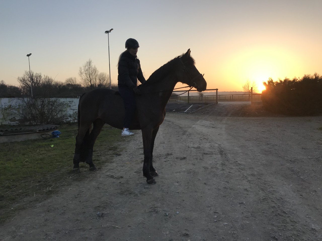 Valle på en barbackatur i kvällssolen<3