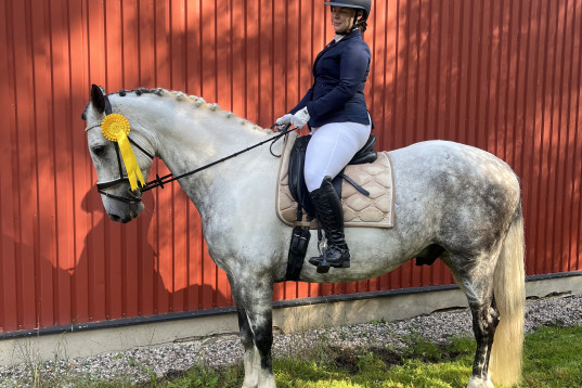 Känslig kille med stort hjärta 