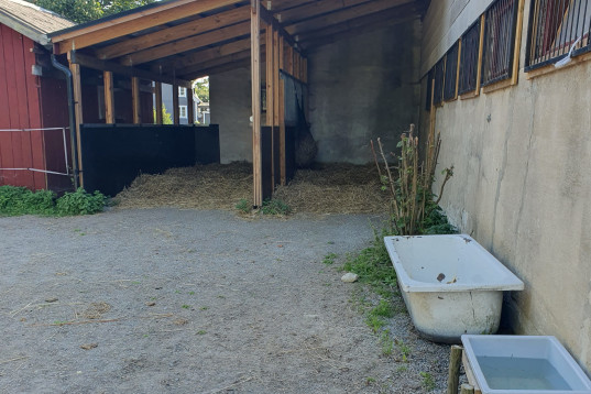Boxplatser, lösdrift
