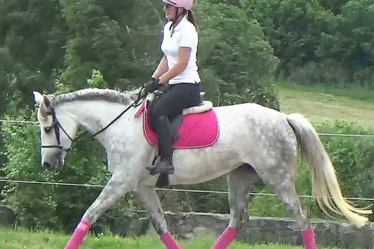 Good looking Grey Star for everybody