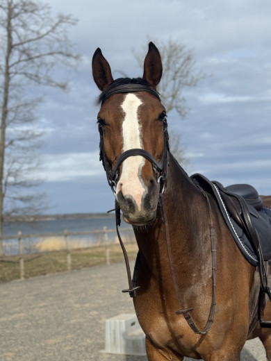 Lovande 4 åring