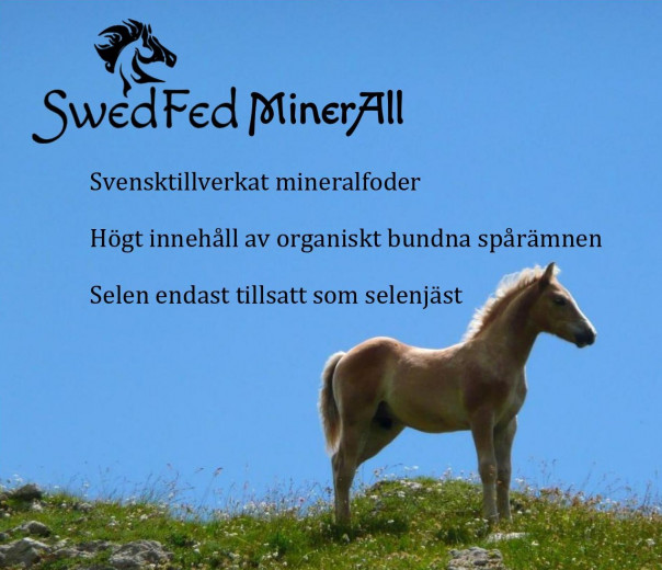 SwedFed MinerAll