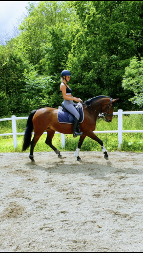 Vacker dressyrponny med goda framtidsutsikter. 