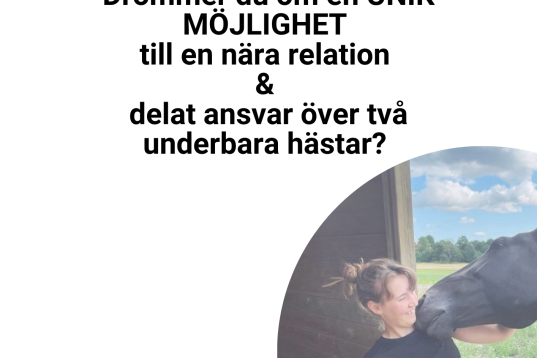 Dags att ta steget mot "egen häst"? 🐴🥳