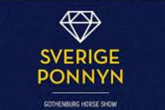 C-ponny sökes för satsande ryttare