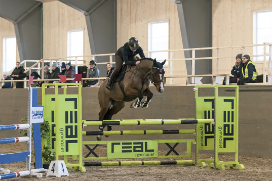 Snygg valack efter casall 