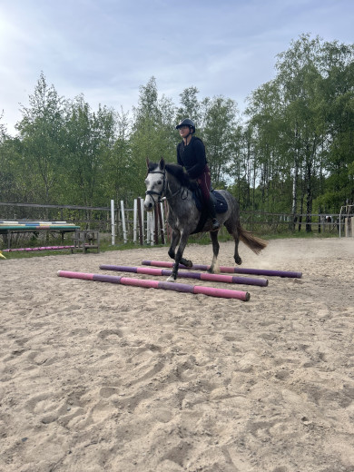 Godkänd besiktning 2/7! D-ponny att forma ⭐️