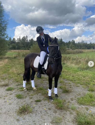 Fantastisk D- ponny till salu