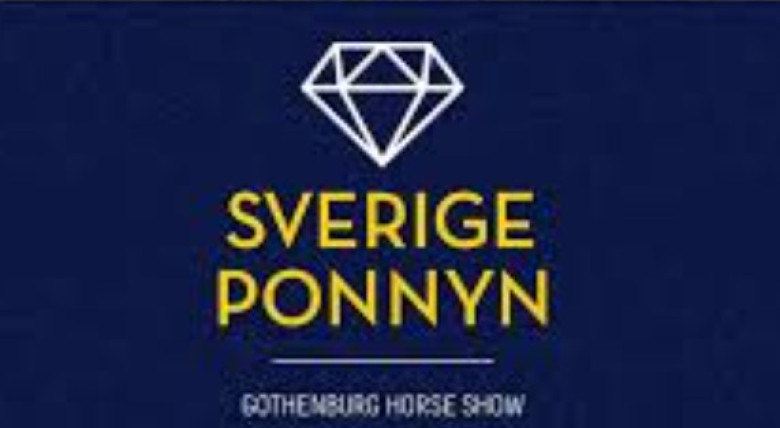 C-ponny sökes för satsande ryttare