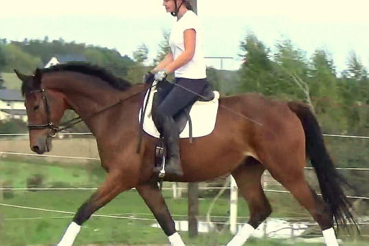 Top mover with sweet character