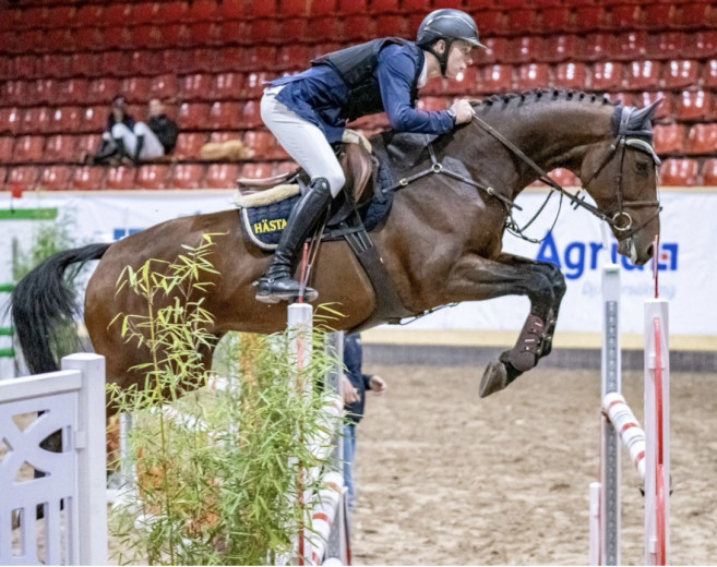 Mycket fin Junior Youngriders häst