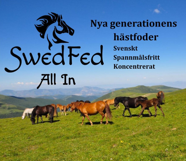 SwedFed All In