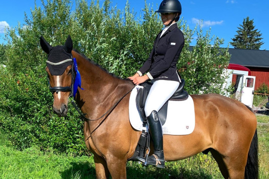 Fin dressyrstammad hobbyhäst till salu!