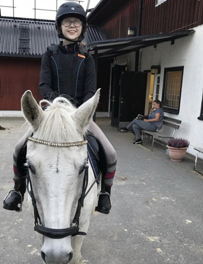 Söker medryttarhäst i Danderyd/Djursholm