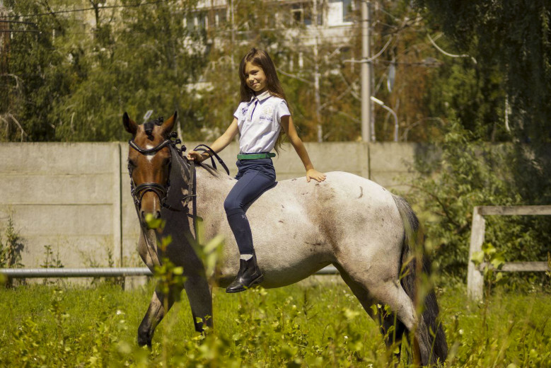 Vacker ponny från Ukraina till salu