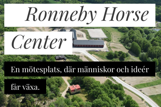Ridskolehästar sökes!
