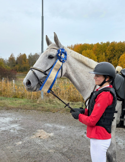 SWB-valack född 2026