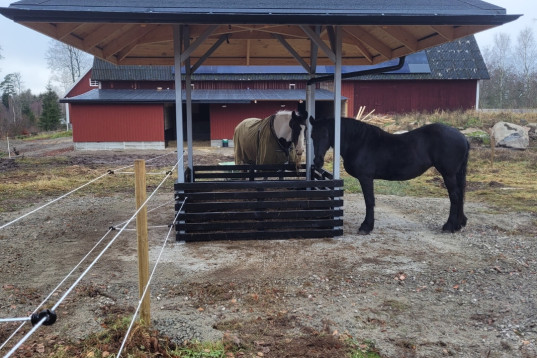 Plats på lösdrift för snällt sto