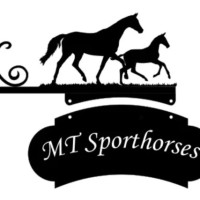 MT Sporthorsess profilbild