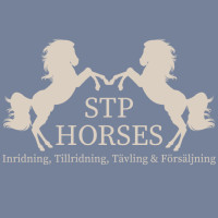 STP HORSESs profilbild