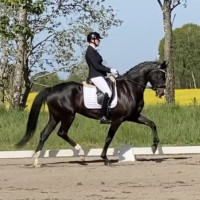 Annica Strömbergs profilbild