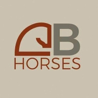 LB Horsess profilbild