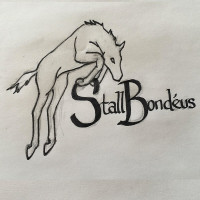 Stall Bondéus HBs profilbild
