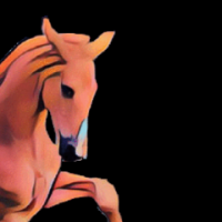 BM Equiterapi och Hästmassages profilbild