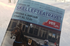 Skellefteå travet
