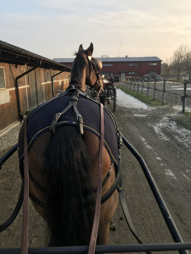 Fredagsfika och tenta