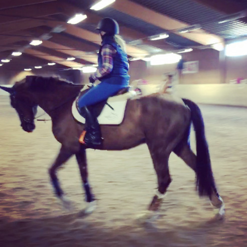 Dressyrträning