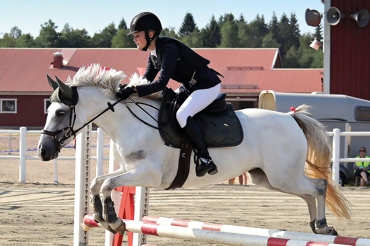 Veckans saluhäst: Lovande C-ponny