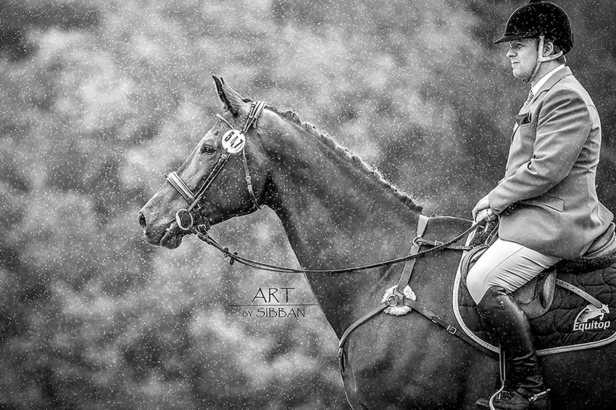 R&B Eventer: Sveriges största unghästfinal i fälttävlan 🐴🏆