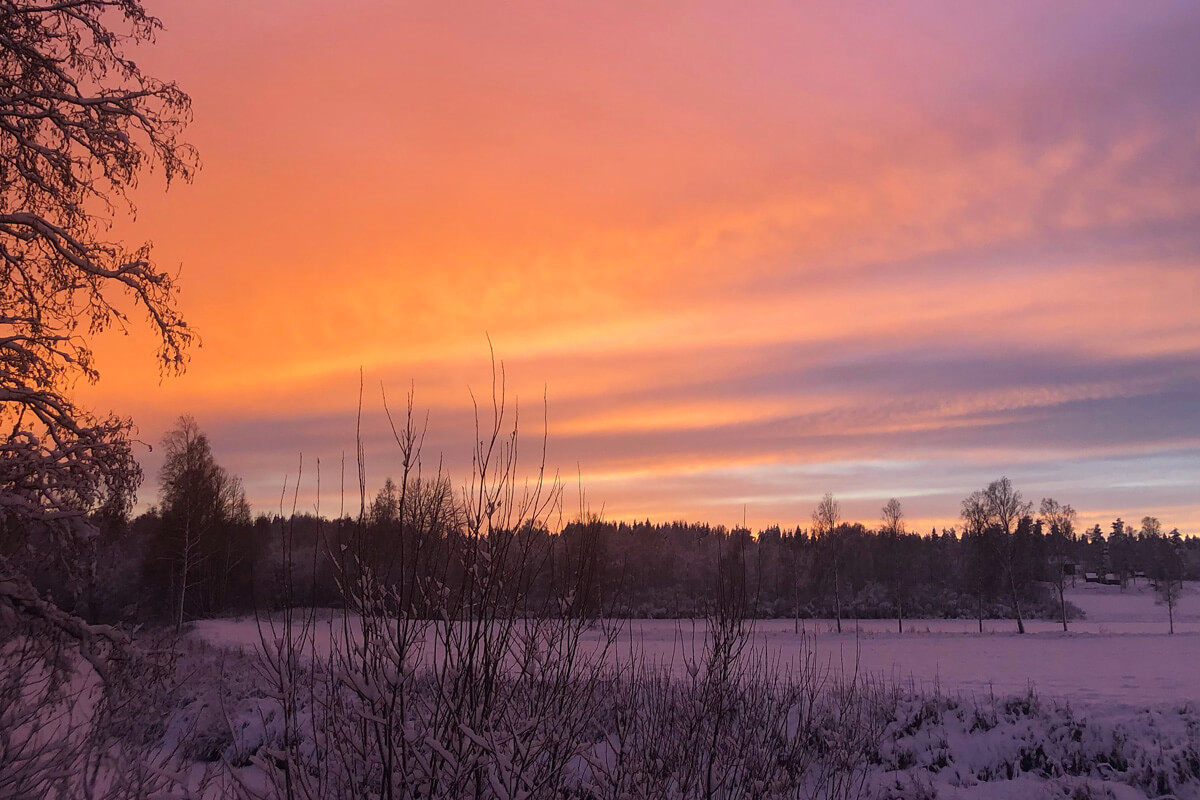 Norrländsk vinter